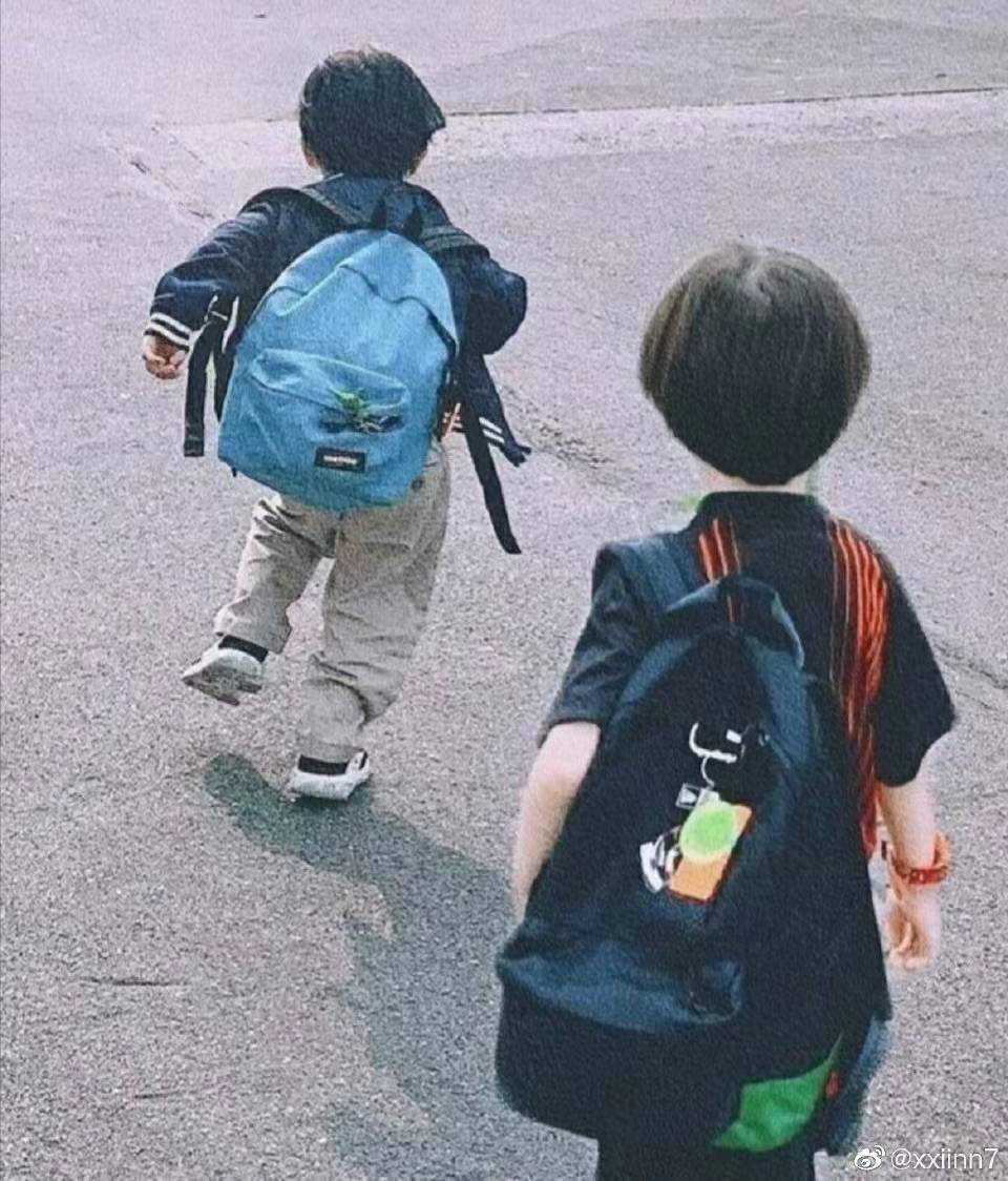 我也不知道为什么图片会消失